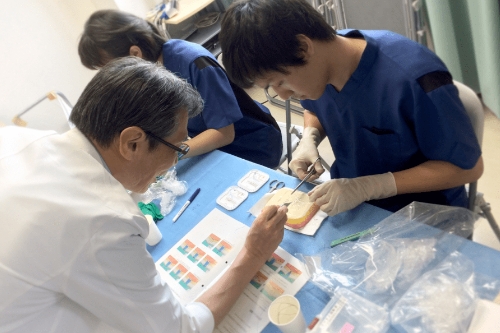 ハンズオンセミナー