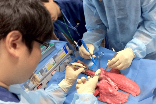 ハンズオンセミナー