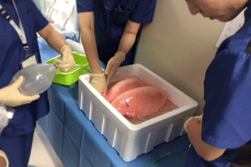 ハンズオンセミナー